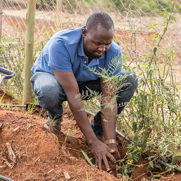 FKLM Africa Foundation - leading ecosystem restoration across Africa